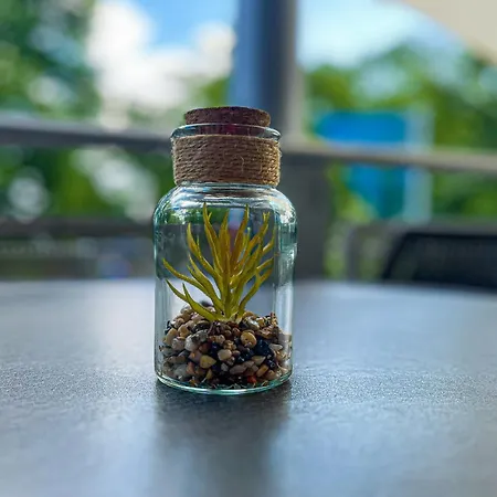 Apartamento Residenz Seestern 40